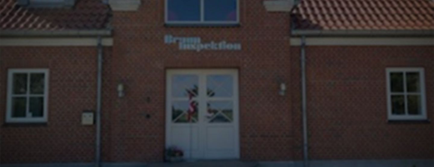 Bruun Inspektion has assembled a top team of experts in the following fields: